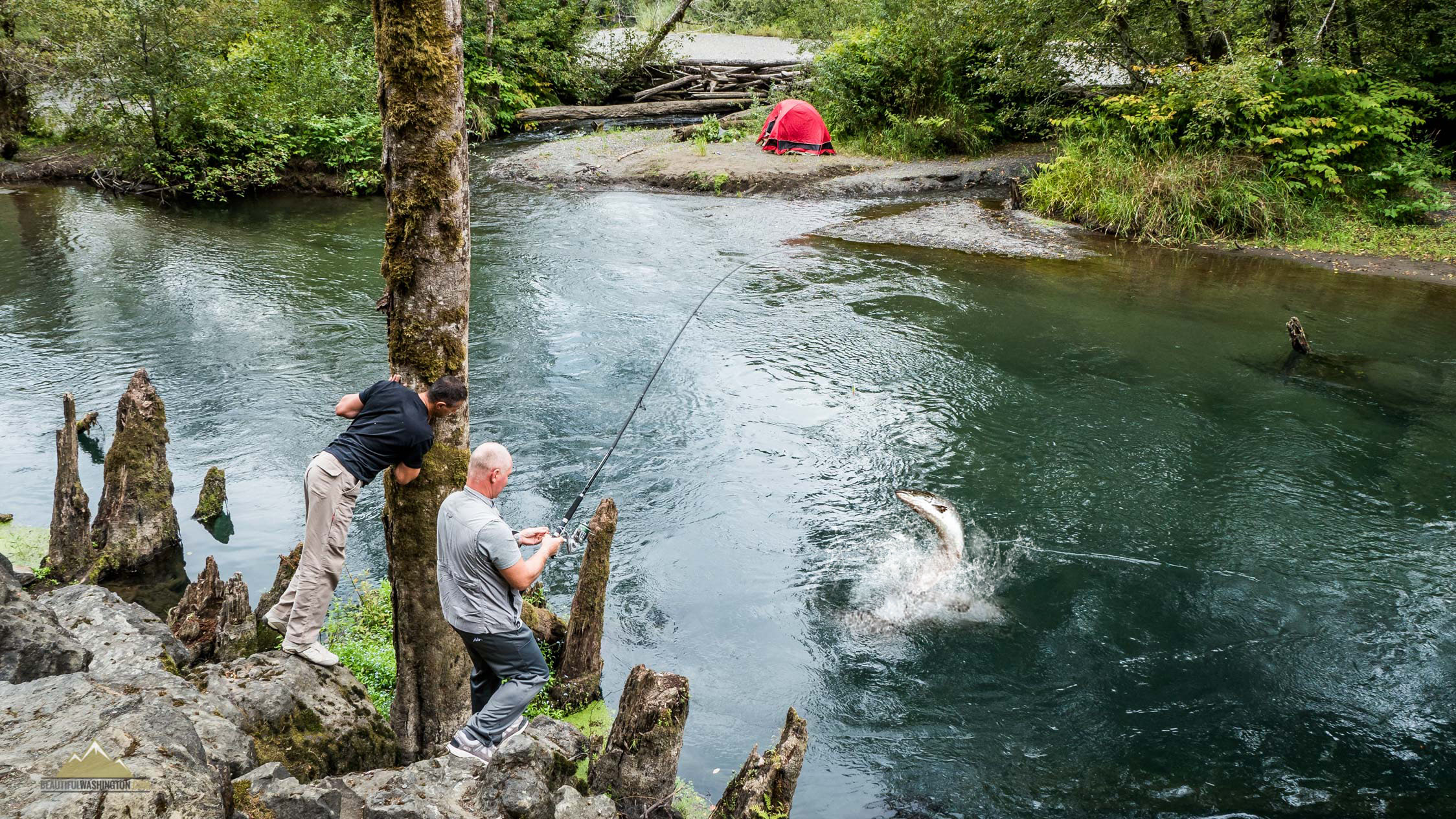 Skokomish River 7