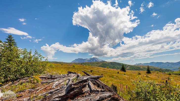 Photo from South Coldwater Ridge, west of Mount St. Helens, South Cascades Region