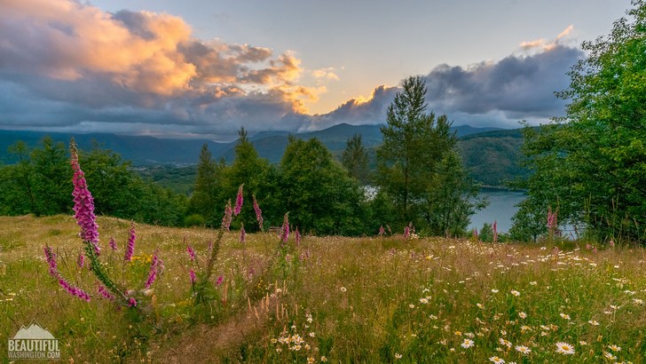 Photo from South Coldwater Ridge, west of Mount St. Helens, South Cascades Region