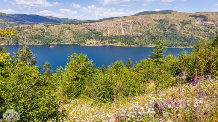 Photo from South Coldwater Ridge, west of Mount St. Helens, South Cascades Region