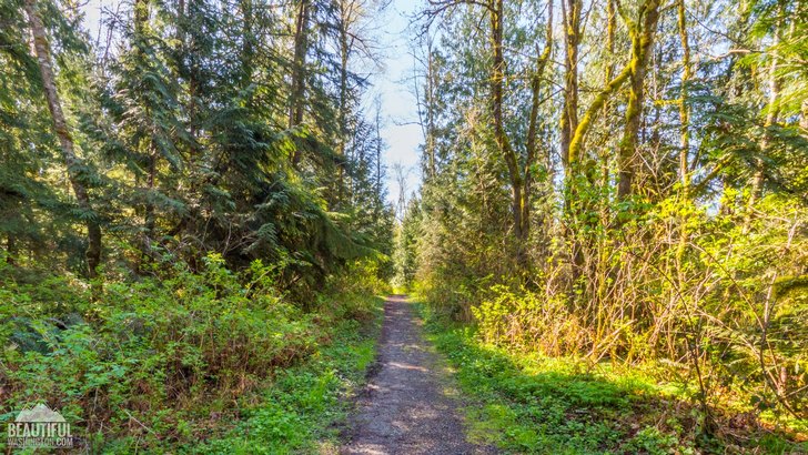 Photo taken at Spring Lake / Lake Desire Park, King County, Washington State