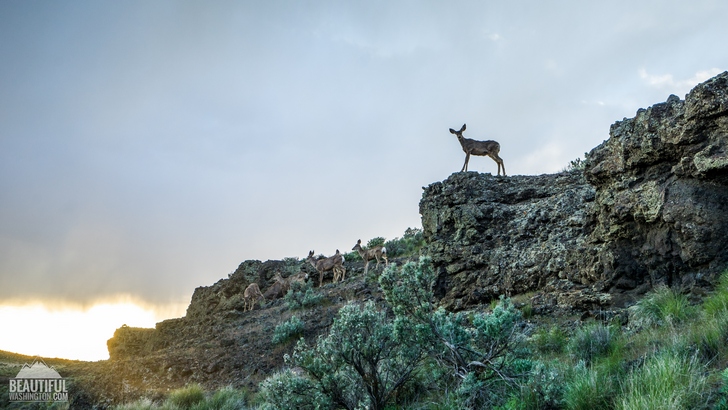 Photo from Washington State, Eastern Washington