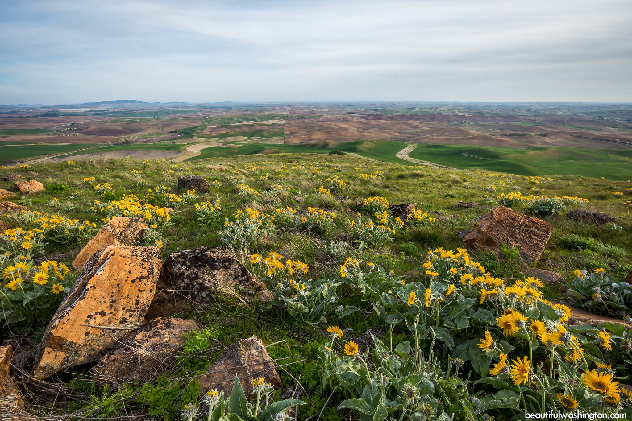 Steptoe Butte State Park 43