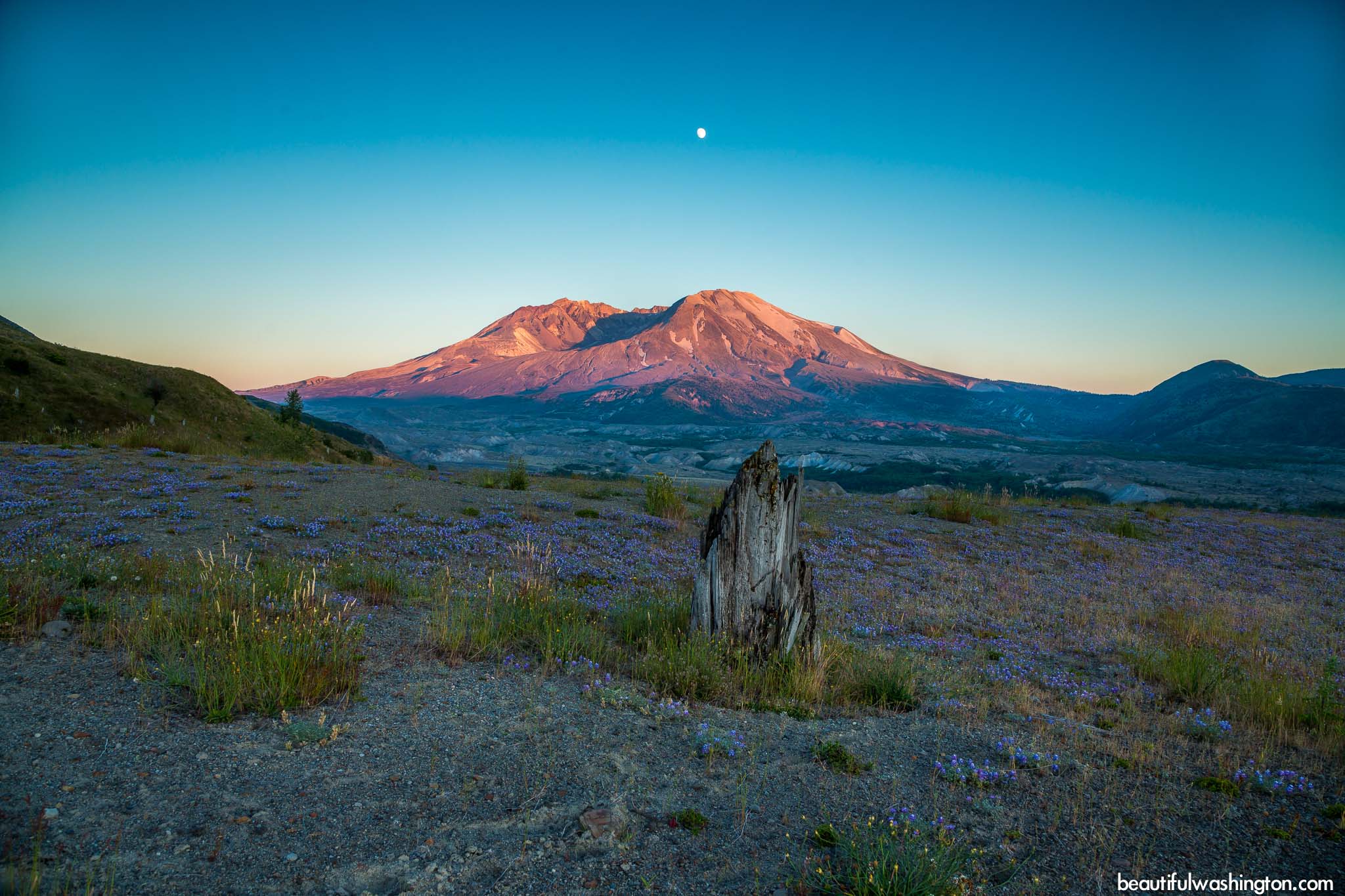 Hummocks Trail 18