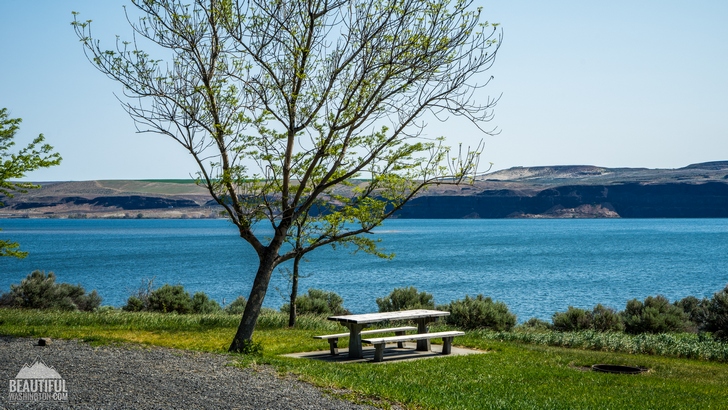 Wanapum State Park Campground 25