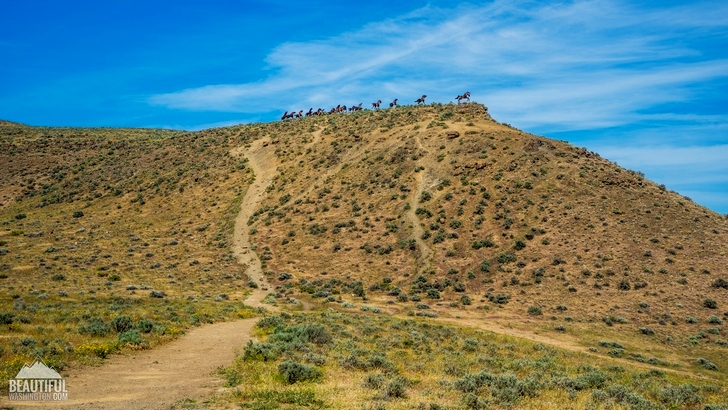 Photo from Washington State, Eastern Washington