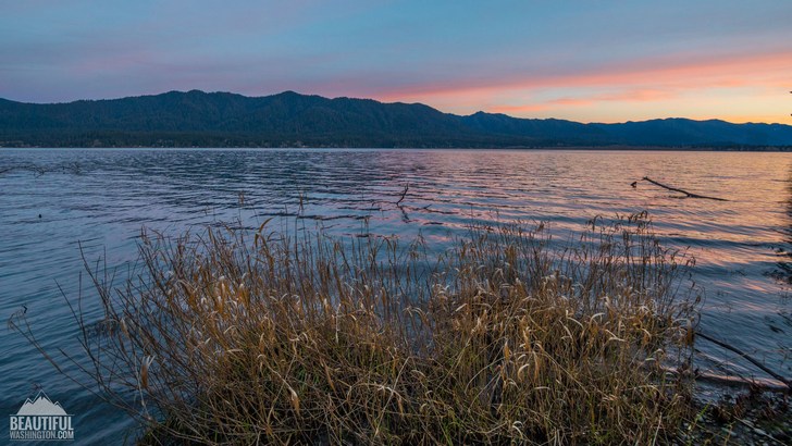 Photo taken at Willaby Campground, located on the south shore of Lake Quinault, Olympic Peninsula Region