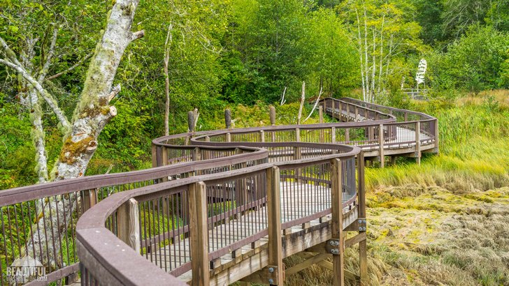 Photo of the Willapa Art Trail and the Cutthroat Climb Trail, located at Willapa National Wildlife Refuge, Pacific County