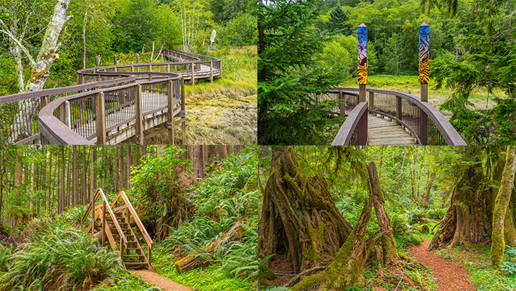 Willapa Art Trail and Cutthroat Climb Trail