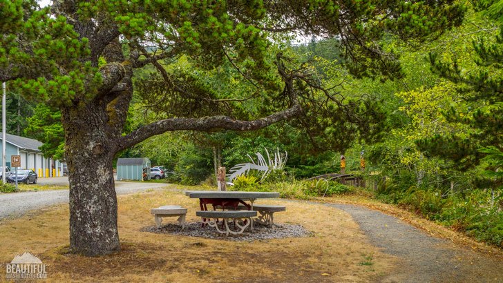 Photo of the Willapa Art Trail and the Cutthroat Climb Trail, located at Willapa National Wildlife Refuge, Pacific County