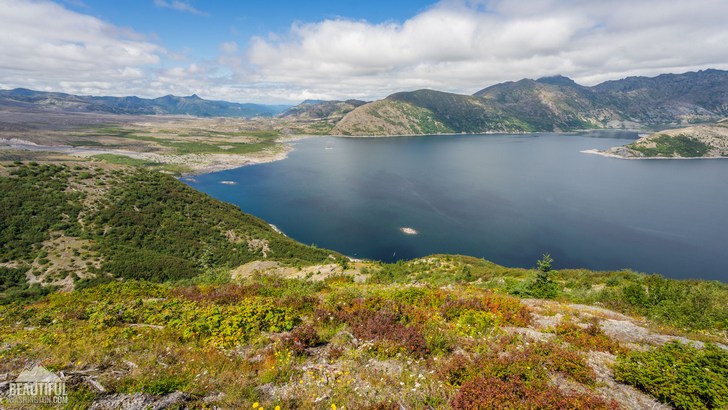 Photo made from Windy Ridge Trail, South Cascades Region, Mount St. Helens Area