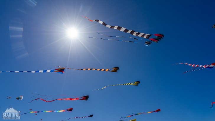 Washington State International Kite Festival