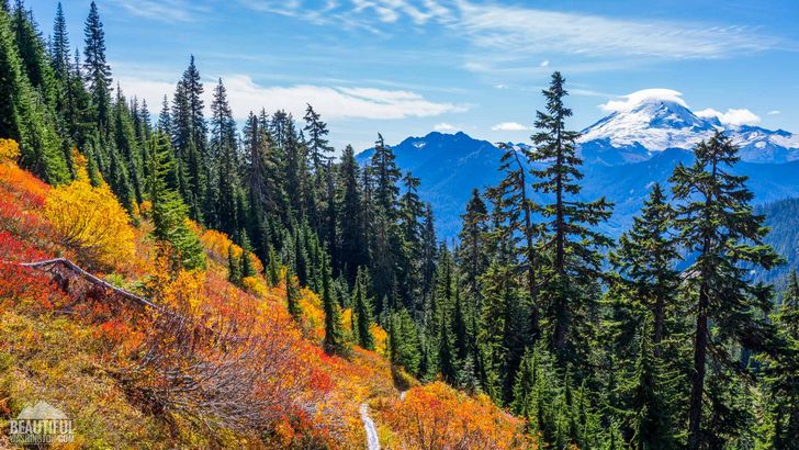 Photo from the Yellow Aster Butte Trail, taken during a beautiful autumn time, Mt. Baker Area, North Cascades