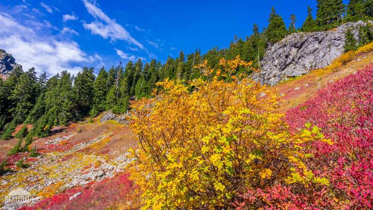 Photo from the Yellow Aster Butte Trail, taken during a beautiful autumn time, Mt. Baker Area, North Cascades